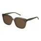 Transparent Brown