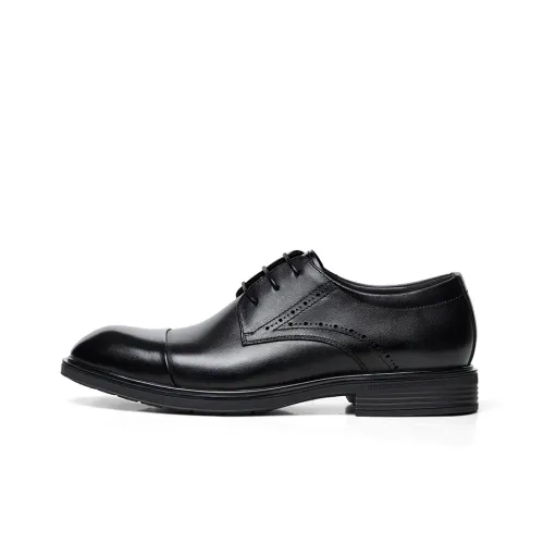CAMEL Dress Shoes Men Low-Top
