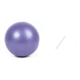 Purple No Logo[Diameter 22-25cm]