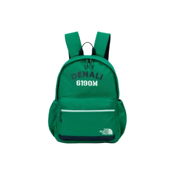 THE NORTH FACE Polyester Backpack Regular Men's Green