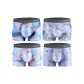 Dazzling Color Block, Blue, Dazzling Color Bubble, Brown (4-3)