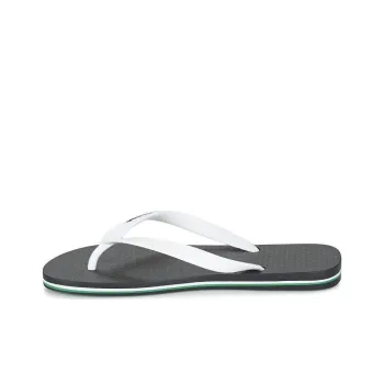 Ipanema Flip Flops Men