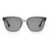 Transparent Gray Frame with Gray Lens