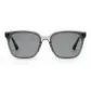 Transparent Gray Frame with Gray Lens