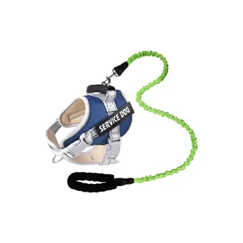 Pampering Leashes