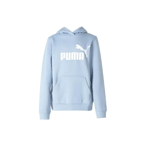 Puma TD  Sweatshirt