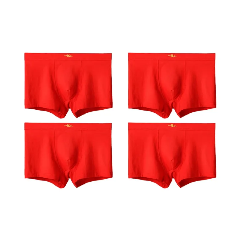 Lanza Men Underpants-30