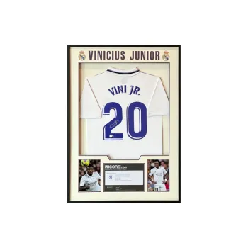 Huayitaojin Jersey Officially Signed Company Certificate With ICONS Framed 76x106cm Men's Collectible Classic