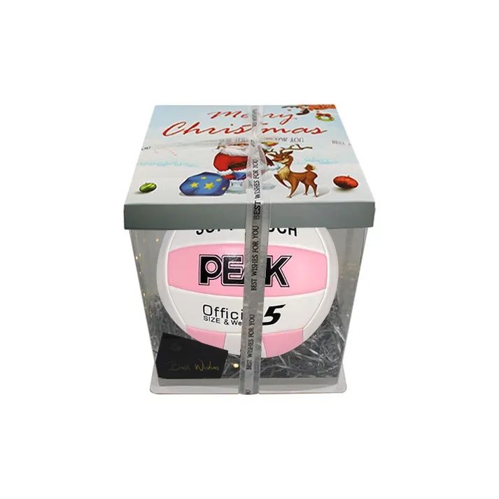 PEAK Volleyball-16