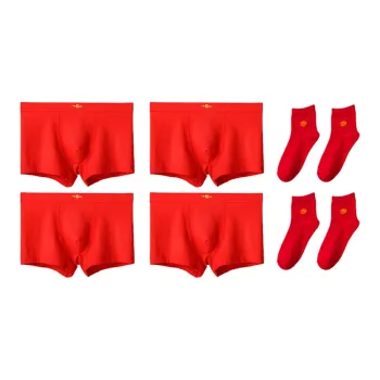 Lanza Underpants Men's 4 Pack+2 Pack Socks