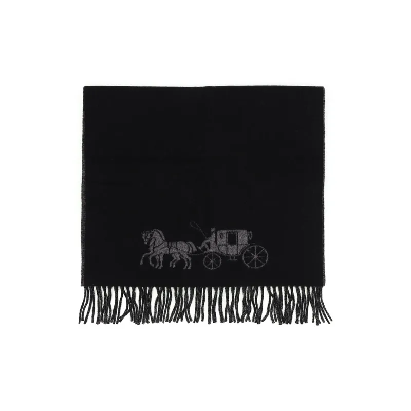 COACH Knit Scarves Unisex-2