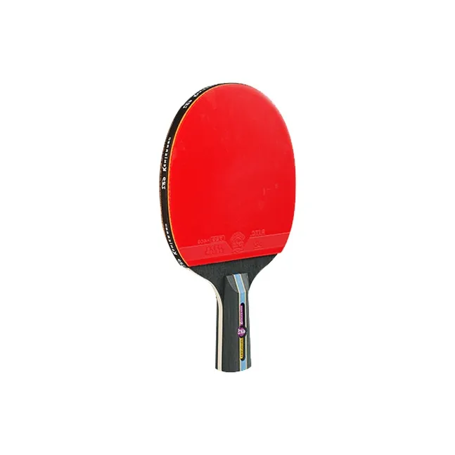 730 Ping Pong Paddles-2
