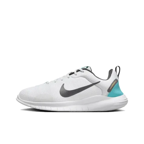 Nike Women's Flex Experience Run 12 Extra Wide 'Pure Platinum Dusty Cactus'