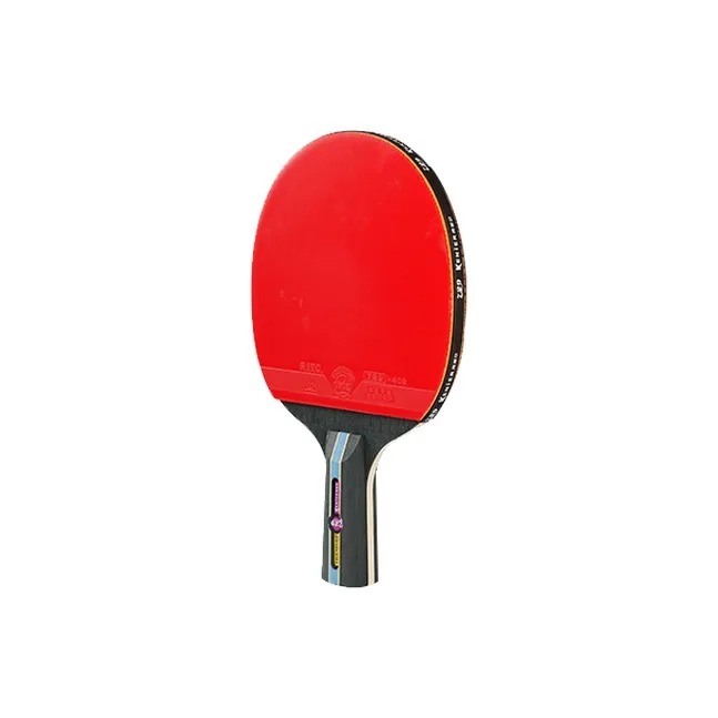 730 Ping Pong Paddles-3