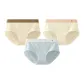 Champagne+White Apricot+Celadon