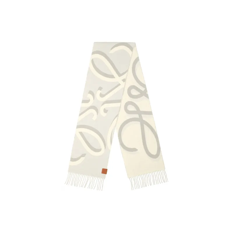 LOEWE Knit Scarves Women's Gray-1