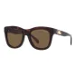 Tortoiseshell