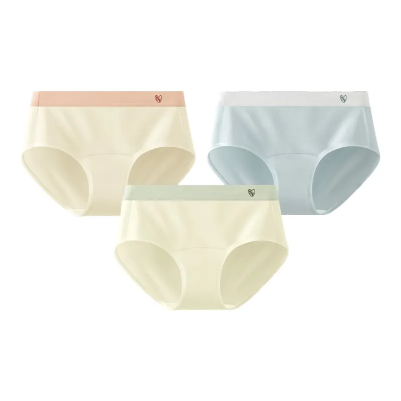 SecretWorld Underpants Women's Combo Set-4