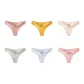 Cameo Brown+Ginger Yellow+Skin+Pea Green+Light Blue+Pink