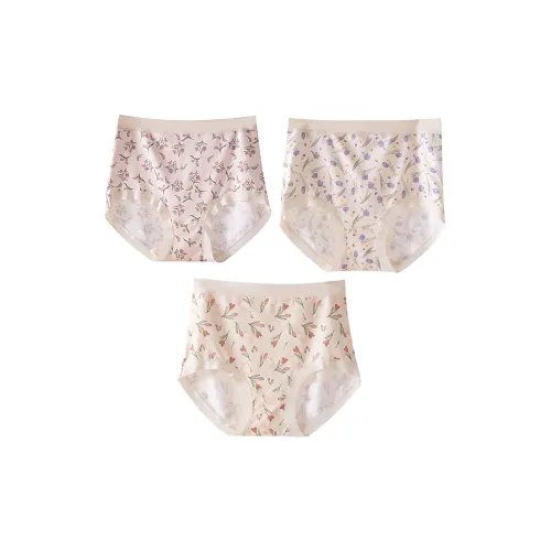 Pretty Lady Underpants Women's 3 Pack