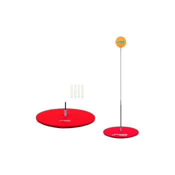 DHS Table Tennis