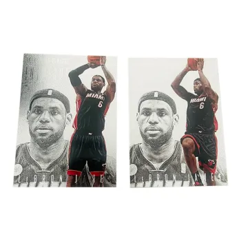 PANINI LeBron James 13 14 Miami Heat Player Card Product Access Sports Cards 1