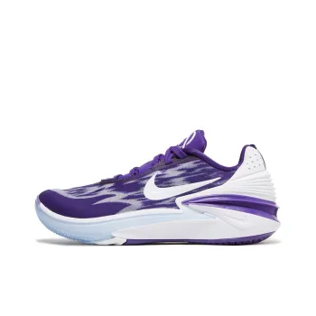 Nike Air Zoom Gt Cut 2 Tb Promo 'Court Purple'