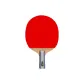 J6( Penhold Grip )