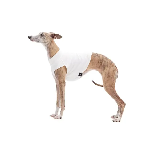 KNOWZA Pet Clothing
