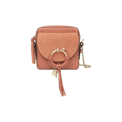 See By Chloé Joan Leather Camera Bag