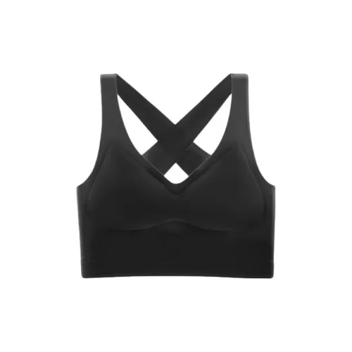 Lanza Women's Bras