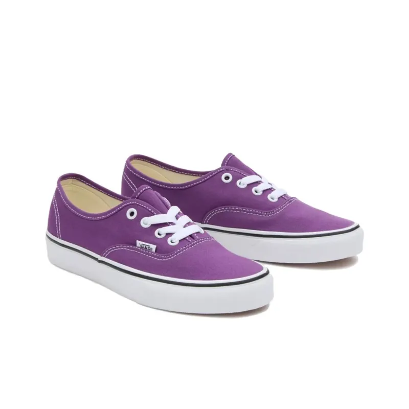 Vans Authentic Cushioning, Wear Resistant Low Top Skateboard Shoes Unisex Purple White-2