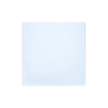 LOUIS VUITTON Shawls Women's Blue