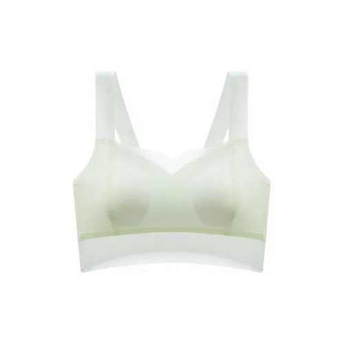 Lanza Women's Bras