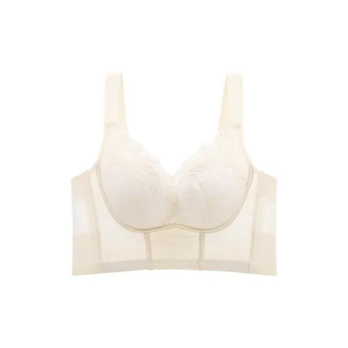 Lanza Women's Bras