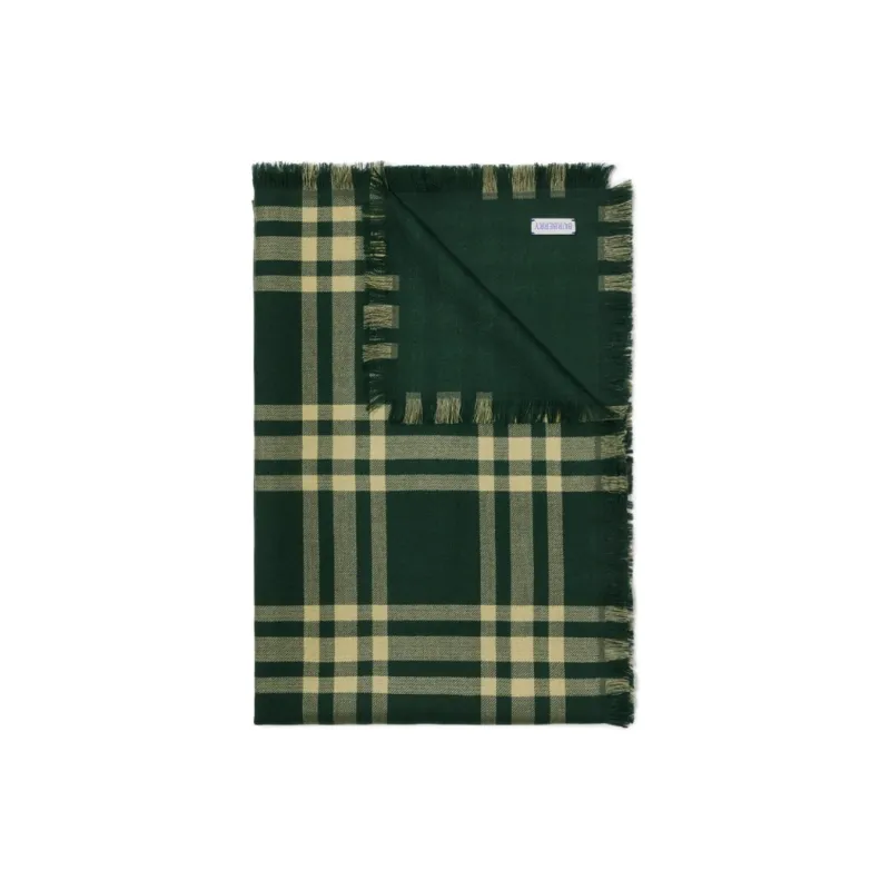Burberry Knit Scarves Women's Green-1