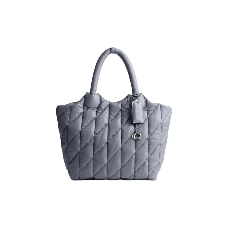COACH Nylon And Leather Tote Bag Shopping Bag Handbag Large Size Women's Silver & Slate Blue-0