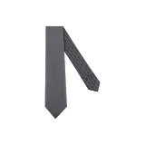 DIOR Silk Ties Men's Gray White