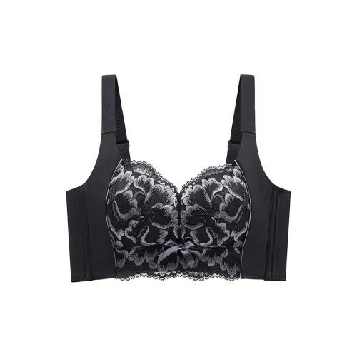 Lanza Women's Bras