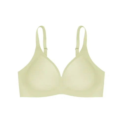 Lanza Women's Bras