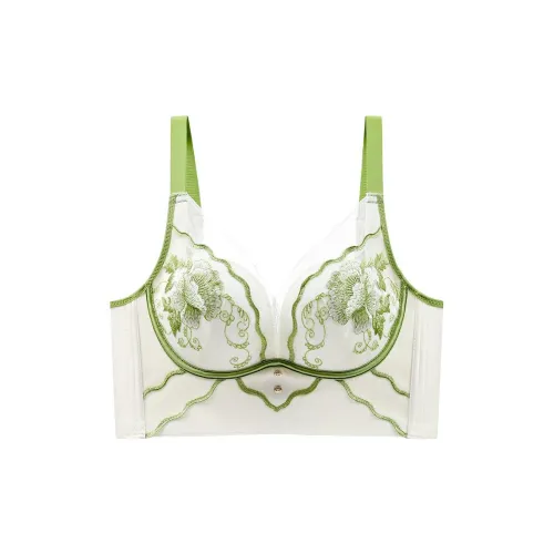 Lanza Women's Bras