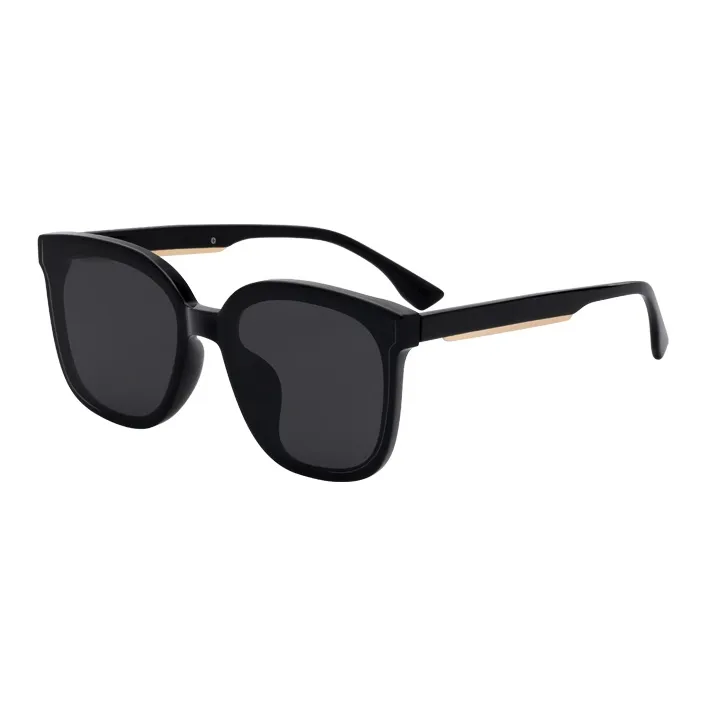 ZIPPO Sunglasses Unisex-1