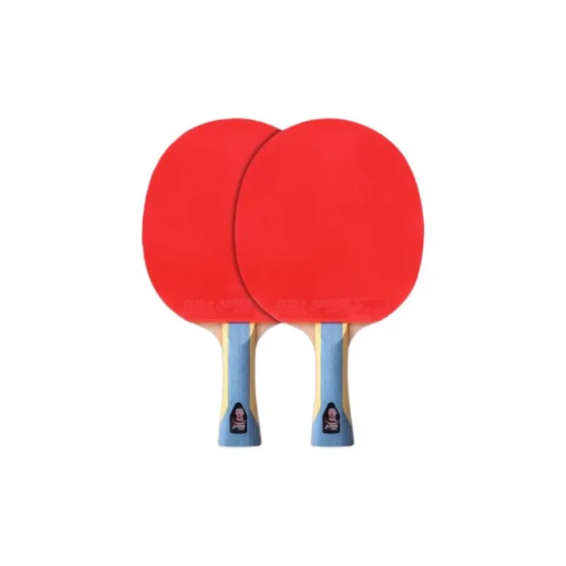 DHS Ping Pong Paddles-1