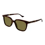 Tortoiseshell