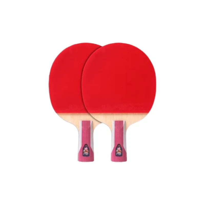 DHS Ping Pong Paddles-2