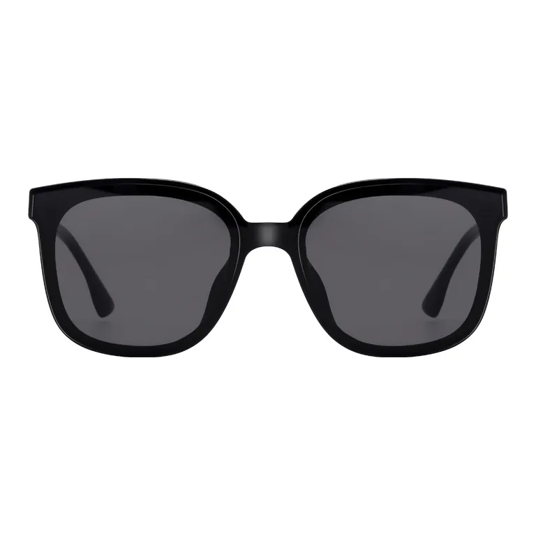 ZIPPO Sunglasses Unisex-0