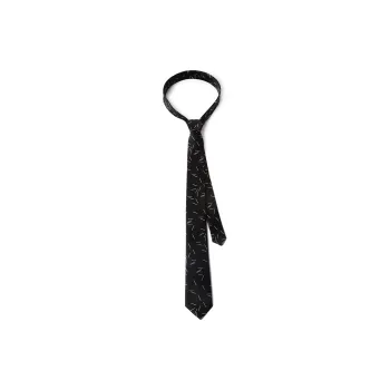 BAIJUAN Ties Men