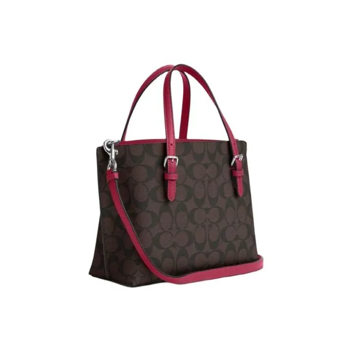 COACH Mollie Handbags-1