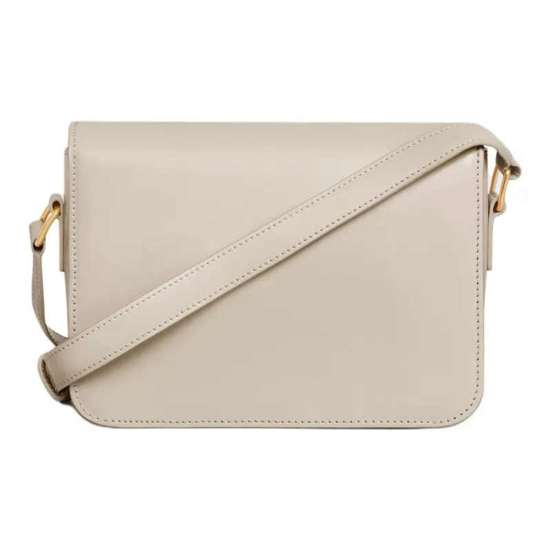 CELINE Triomphe Cow Leather Portable Crossbody Bag Shoulder Bag Women's Asama Gray-2