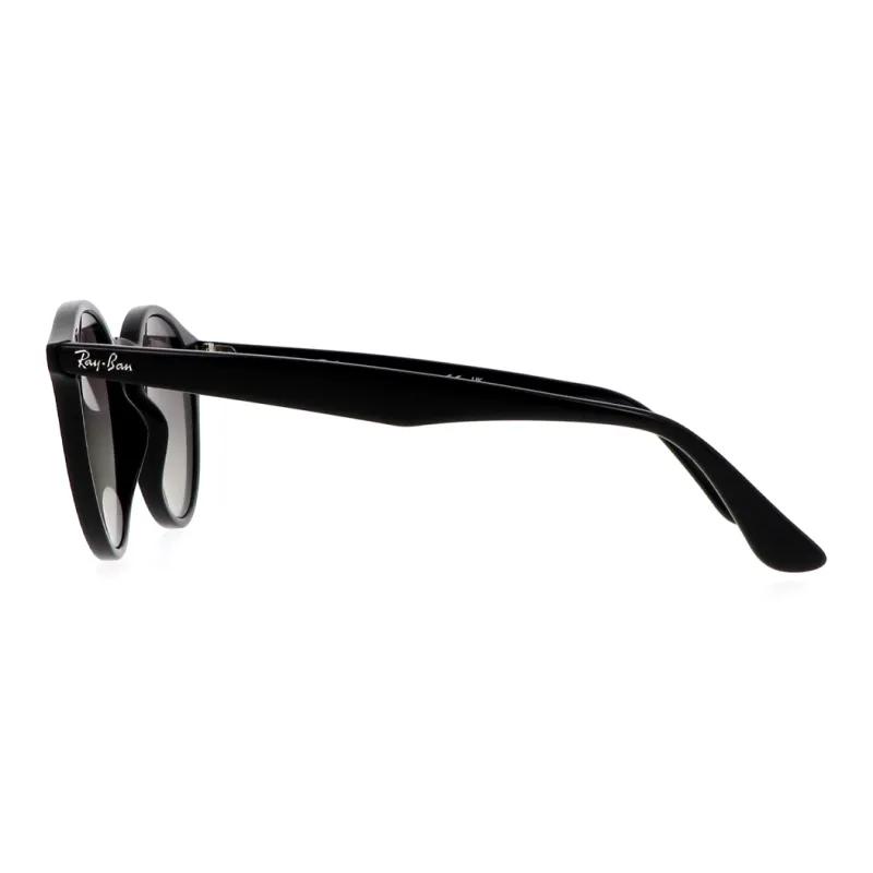 Ray Ban Pantos frame Tinted Sunglasses-2
